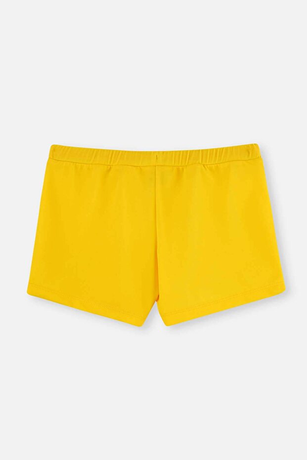 Sarı Erkek Çocuk Dinazor Baskılı Deniz Şortu - 2