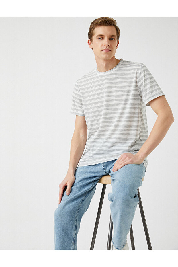 Standard Fit Striped T-Shirt