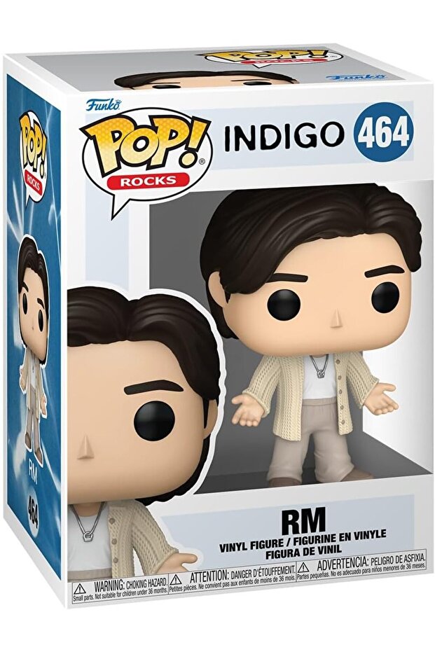 POP Rocks: BTS - RM (Wildflower) - 1