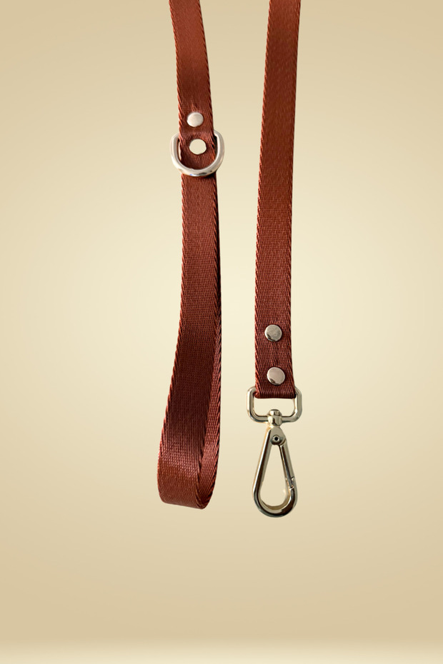 Caramel Mood Köpek Gezdirme Tasması Gezdirme Kayışı 120cm - 2
