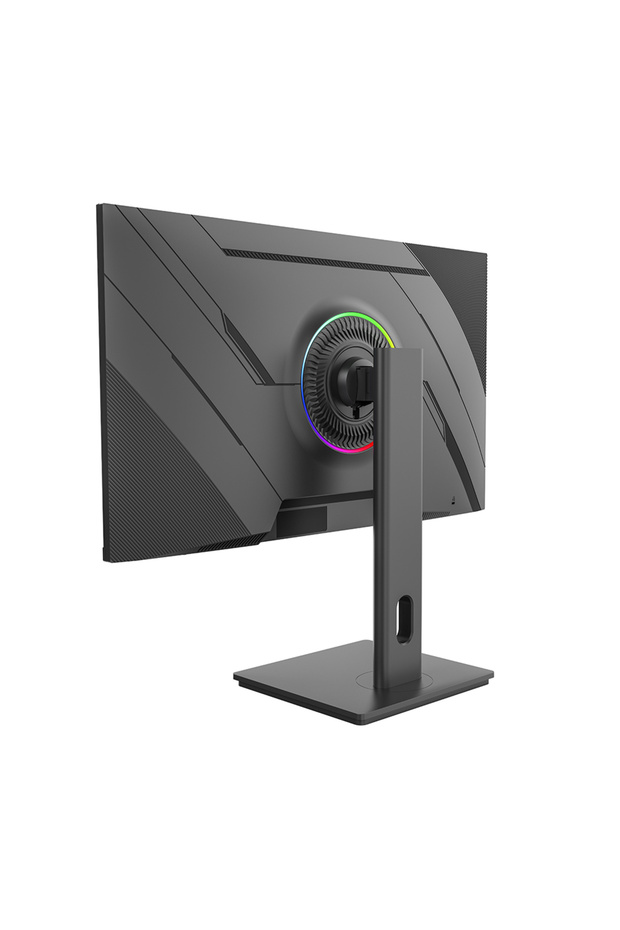ELITESeries E245FHD500 1ms FHD 500Hz 24.5" FreeSync G-Sync IPS Pivot Oyuncu Monitörü - 6