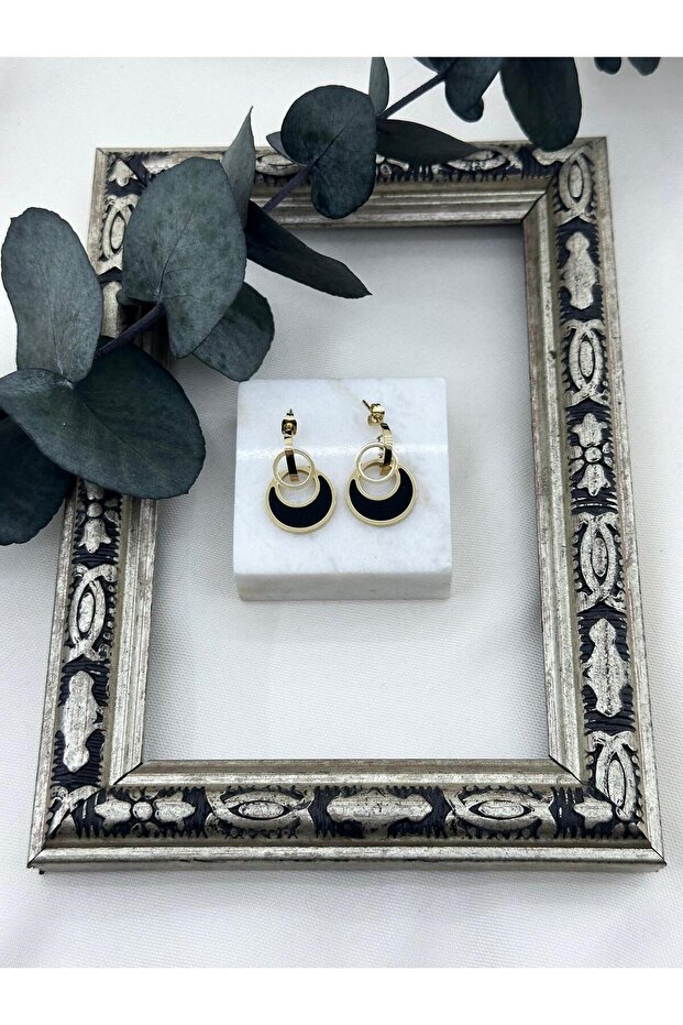 Stainless Steel Black Crescent Model Earrings