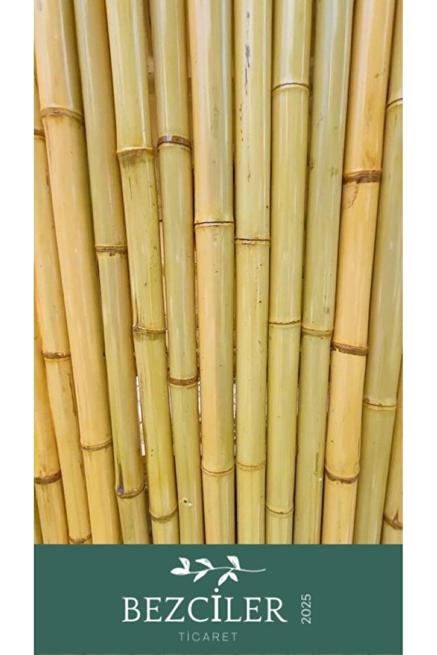 Bezciler Bambu Kargı Fidan Destek Çubukları 240 Cm Boy 2.5-3.5 Çap 10 Adet - 2