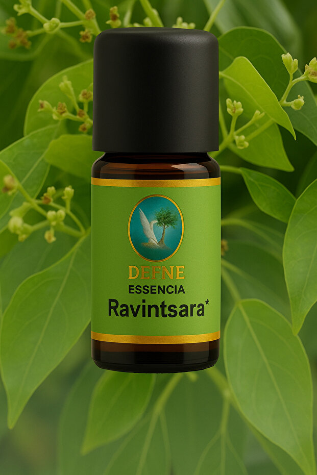 رافينتسارا* زيت عطري نقي 100% عضوي 10 مل