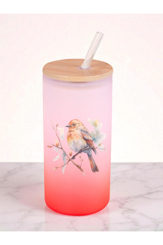 Dalda Bird Printed 600 ml Glass Flask - Water Flask, Drinking Flask, Glass Flask with Straw - 1