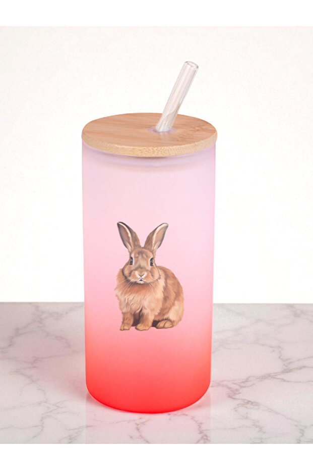 Rabbit Printed 600 ml Glass Flask - Water Flask, Drinking Flask, Glass Flask with Straw - 1