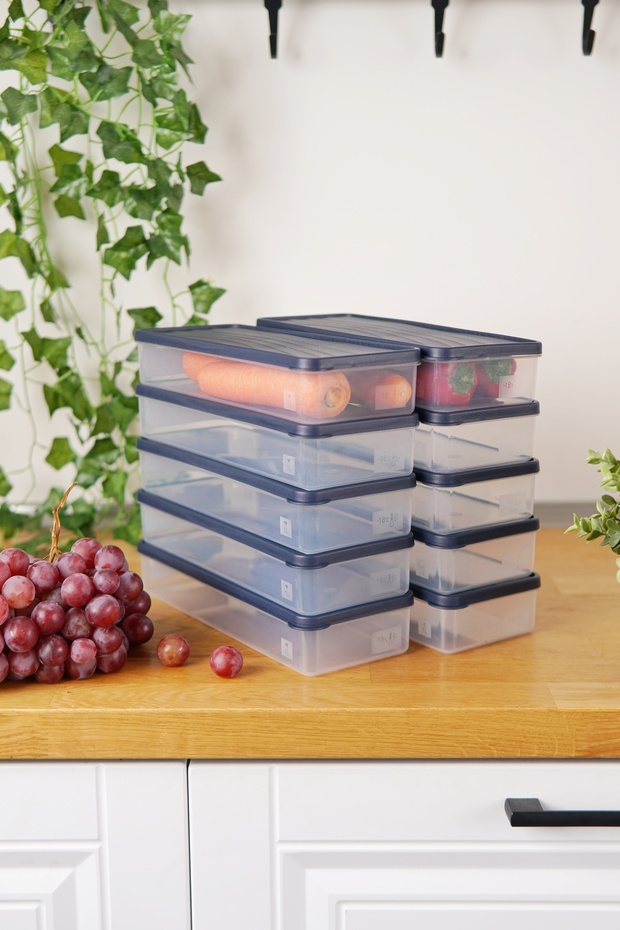 Derin Dondurucu Saklama Kabı 10'lu Set (10 x 1 Lt), Mavi - 1