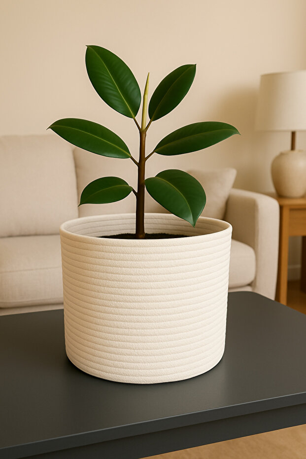 Jute Wicker Multi-Purpose Decorative Organizer Flower Pot Basket Garden Organizer Basket Width 25 Length 20 cm