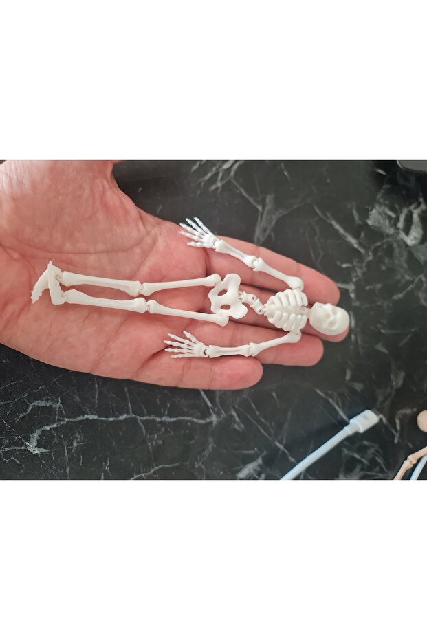 Tiny Skeleton Toy 13cm Human Skeleton - 1