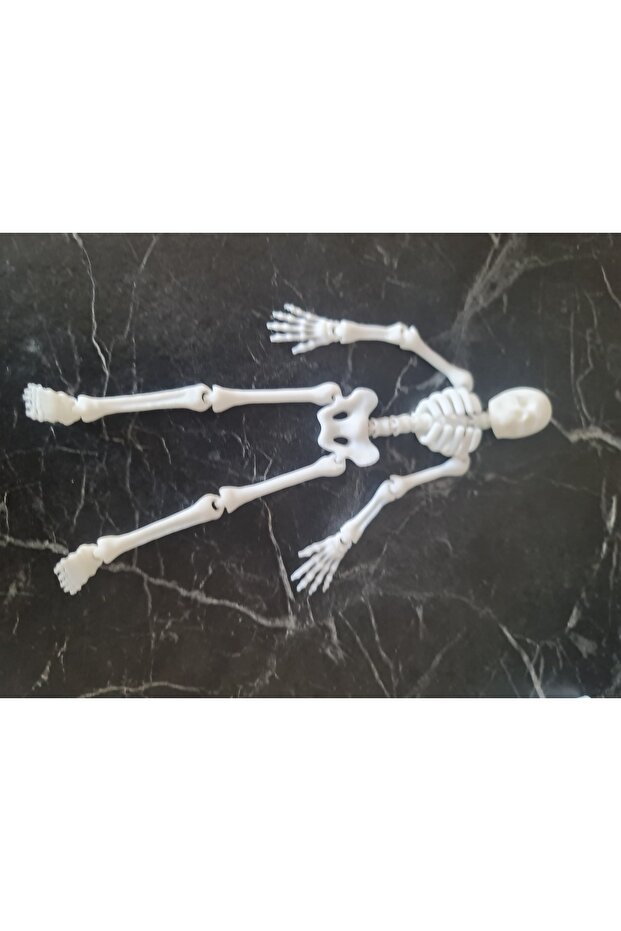 Tiny Skeleton Toy 13cm Human Skeleton - 2