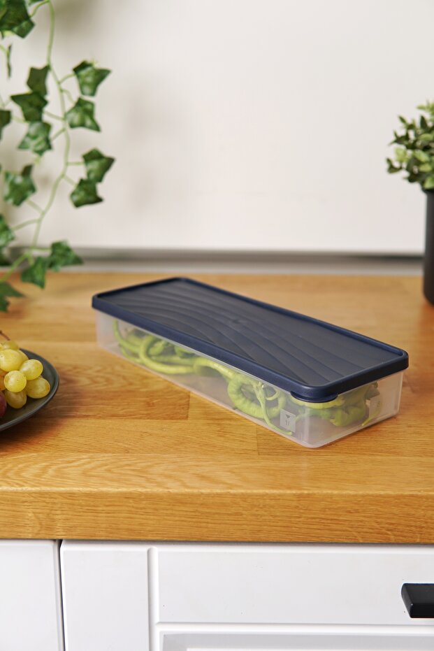 Deep Freezer Storage Container 1 Lt, Blue - 3