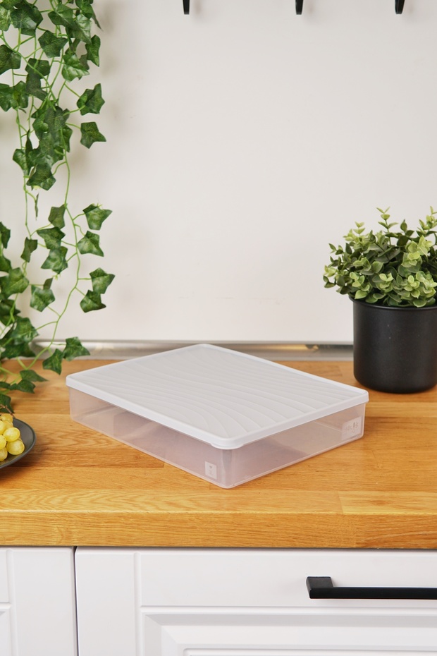 حاوية تخزين للتجميد العميق، سعة 3 لتر، رمادية - 5