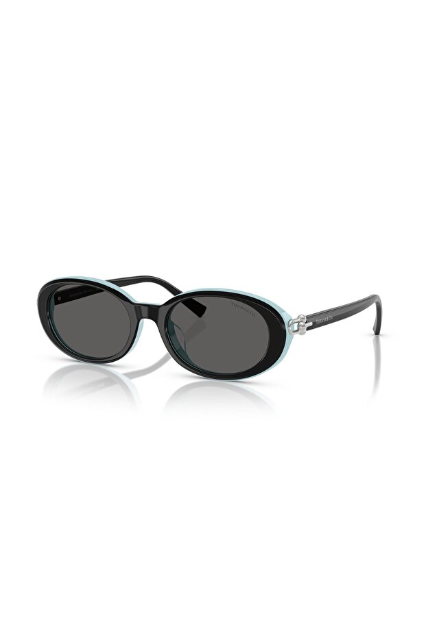 TF 4242D 8055S4 54 & Co. نظارات شمسية