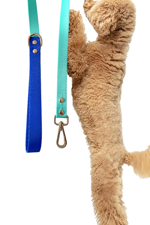 Sky Mood Köpek Gezdirme Tasması Gezdirme Kayışı 120cm - 1
