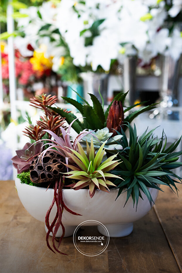 الصبار المدبب الاصطناعي - 8