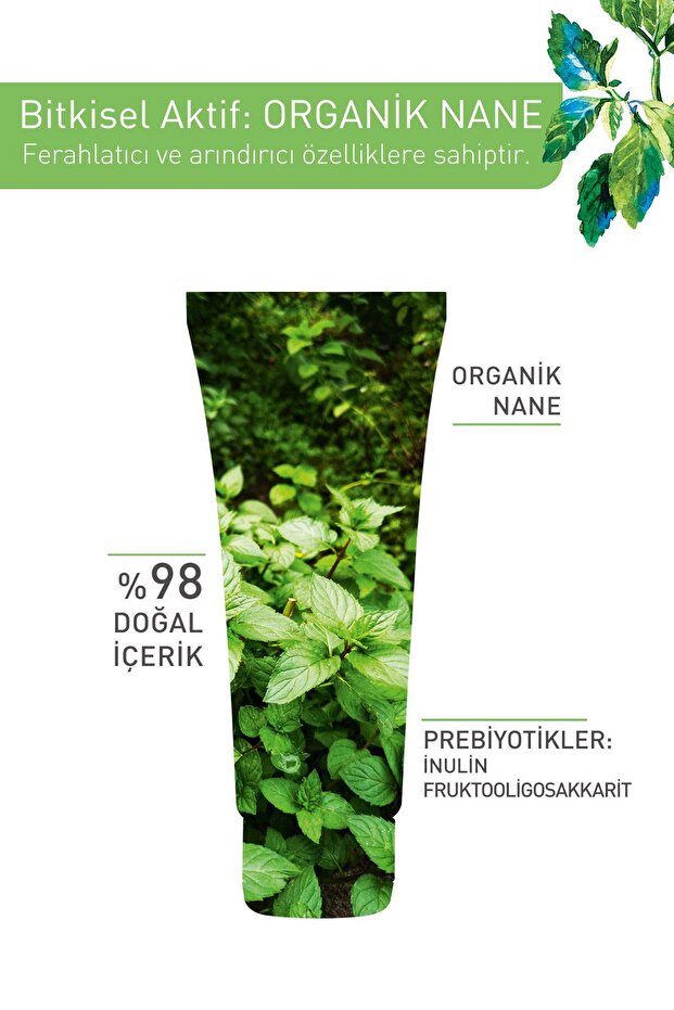 قناع طين بريبيوتيك للبشرة المختلطة والدهنية، منقي، منظف، مطفي - Menthe النقي - 75 مل - 3