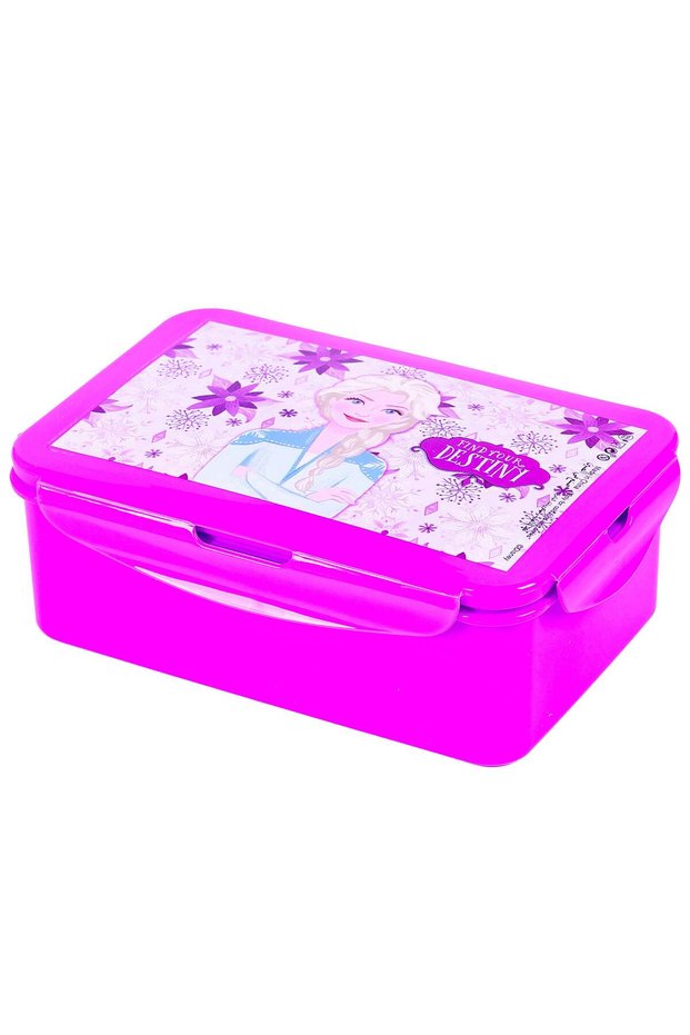 Disney Frozen Find Your Destiny Lunch Box | BPA-Free Kids Bento Lunch Container with 3 Removable Co