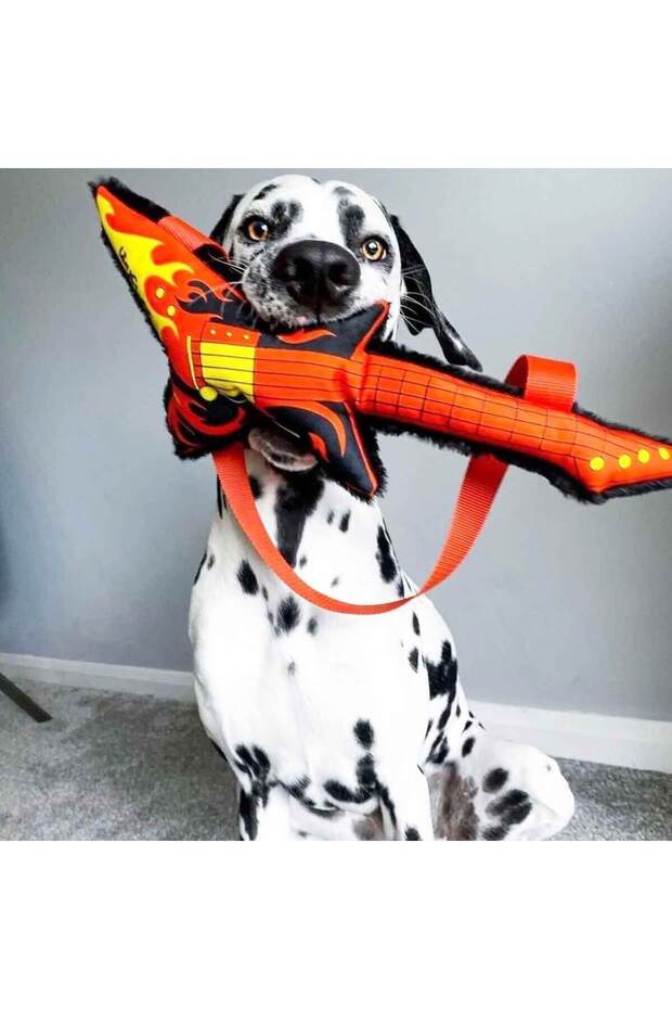 – Vik Vik Gitar ve Mikrofon Peluş Köpek Oyuncak Seti - 2