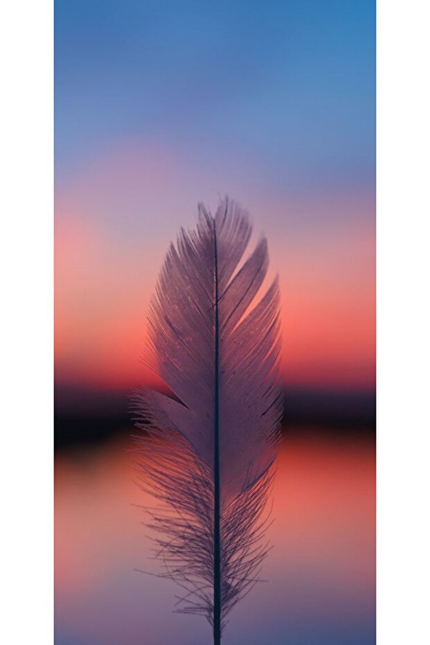 Εξατομικευμένη θήκη ALLVIEW E4 \ E4 Lite Feather - 1