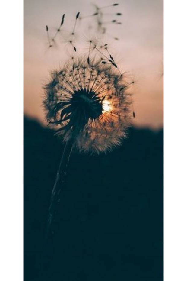 Personalized Case NOKIA 2 Dandelion - 1
