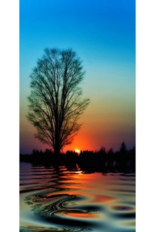 Custom SAMSUNG Galaxy Note 8 Case Sunset - 1