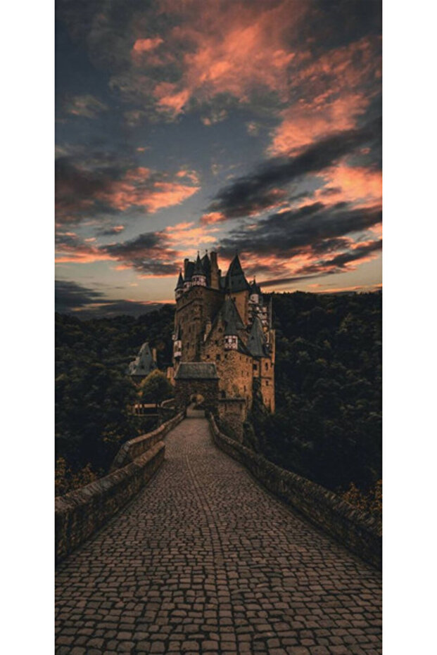 Husa Personalizata ALLVIEW E4 \ E4 Lite The Castle - 1