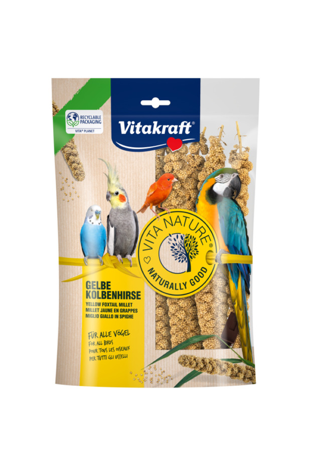 VITA NATURE® Yellow Foxtail Millet 100g (Pack of 5)