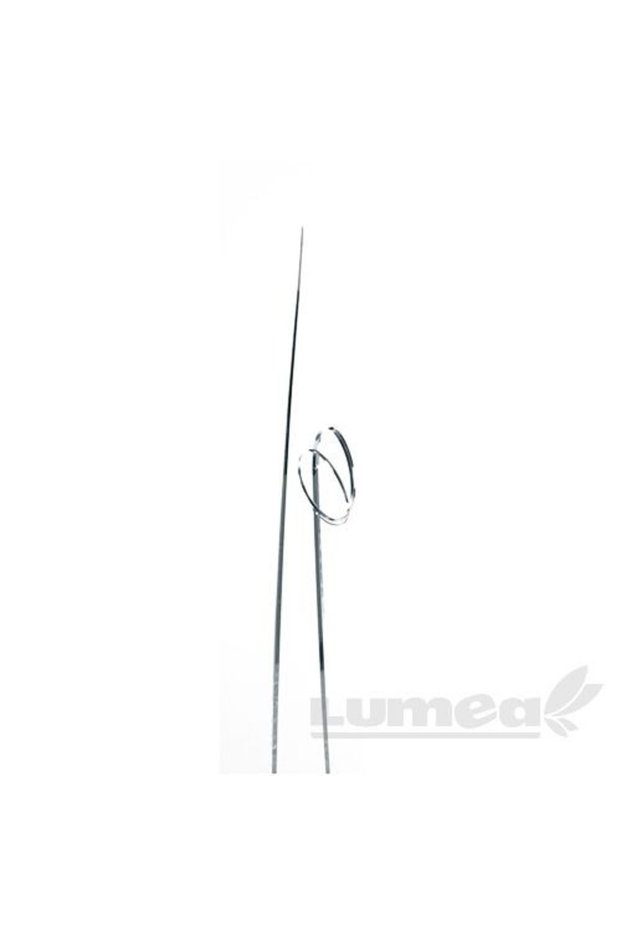 Silver Bear Grass, 50 pcs. - Culpitt