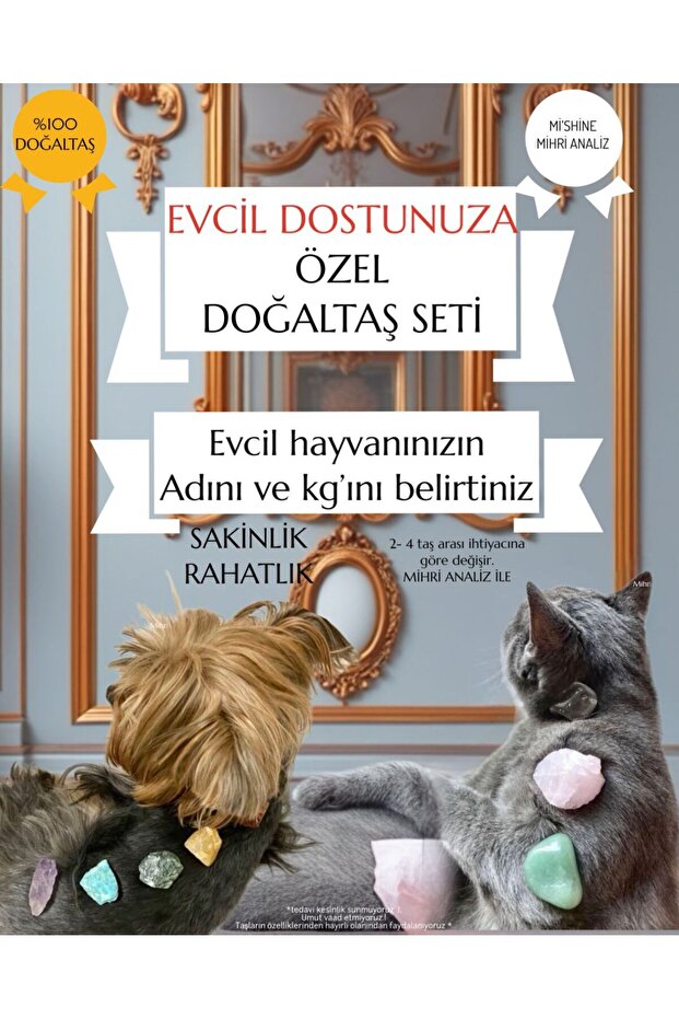 Doğaltaş Evcil Hayvan Seti