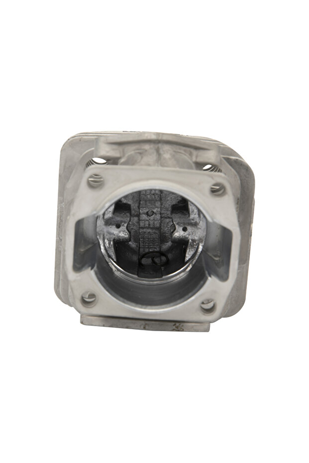 Complete engine set 52CC Drujba 6900 - 2