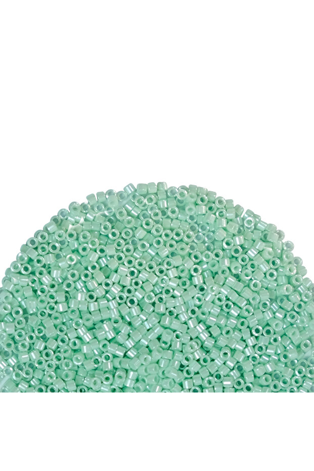 Delica 11-0 Beads - Db1536-221 - 5 Grams