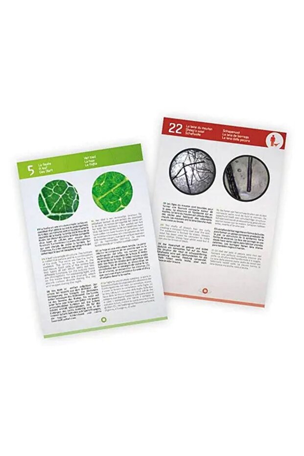 Video Microscope - 7