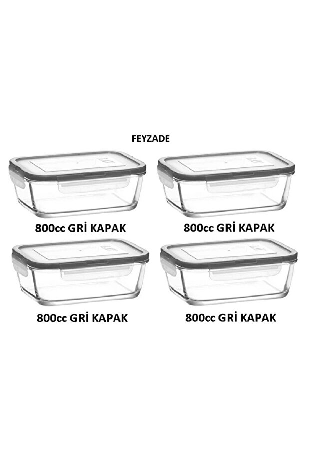 Feyzade Fresh Storage Container Set 4 Pieces 800Cc with Gray Lid (Frs-239)