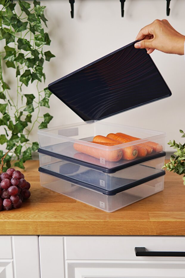 Derin Dondurucu Saklama Kabı 3'lü Set (3 x 3 Lt), Mavi - 1