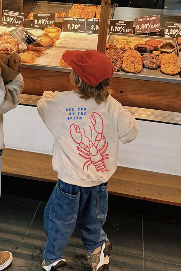 Boy's Printed 3 Thread Fabric Cotton Sweatshirt