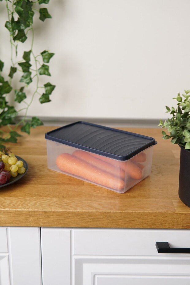 حاوية تخزين للتجميد العميق، سعة 2.1 لتر، لون أزرق - 3