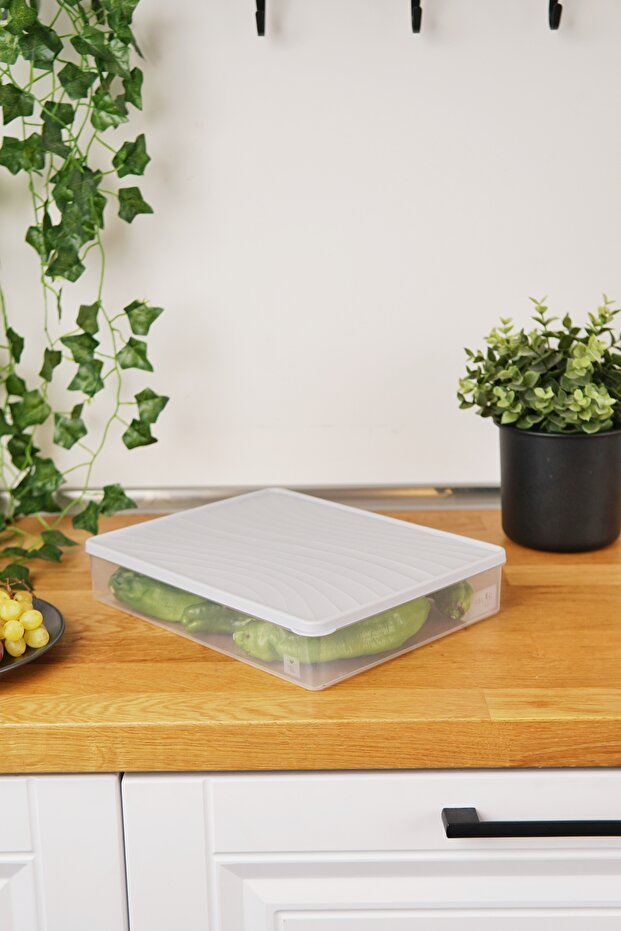 حاوية تخزين للتجميد العميق، سعة 3 لتر، رمادية - 4