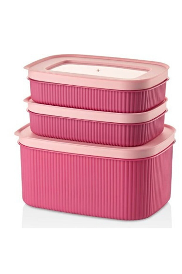 Set of 3 Line Storage Containers, 2 Sizes Practical Food Fruit Vegetable Storage Container, Multi-Purpose Box - 1