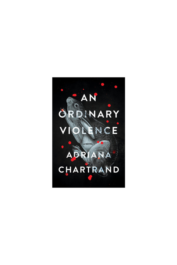 An Ordinary Violence - 1