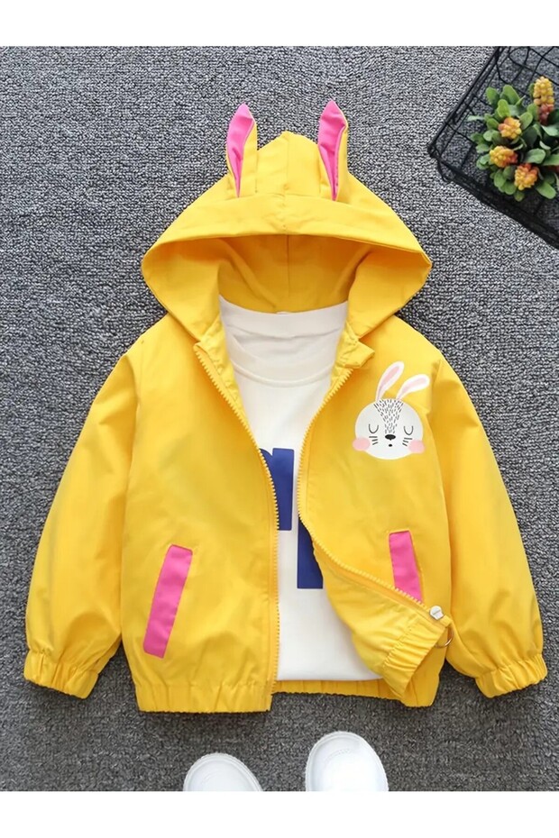 Raincoat & Windbreaker Lightweight Jacket