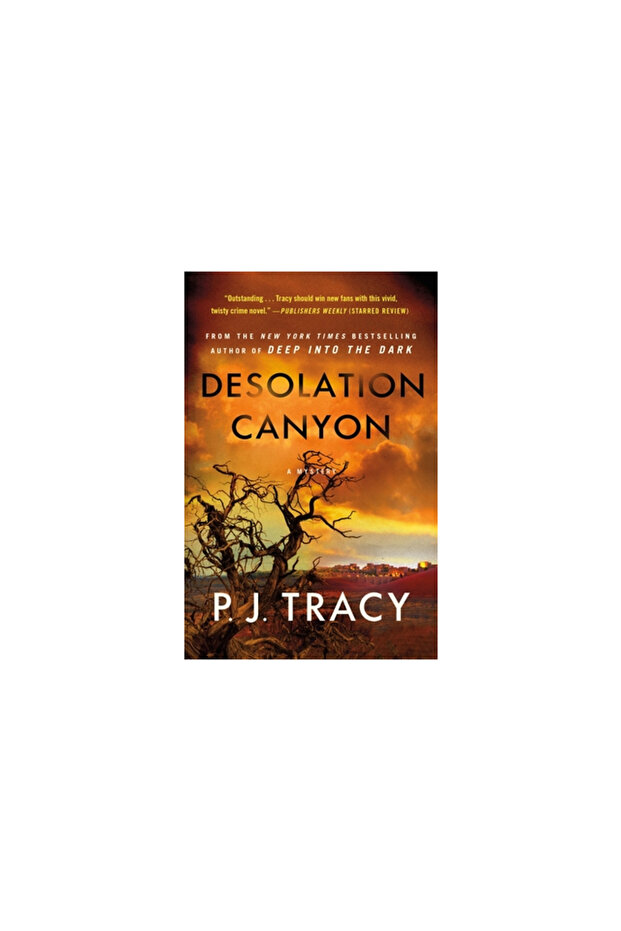 Desolation Canyon: A Mystery - 1