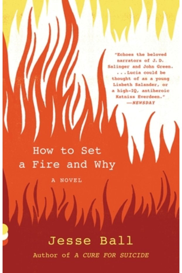 How to Set a Fire and Why