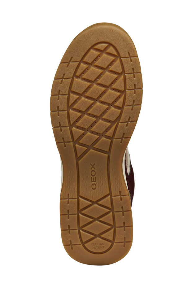 D BERINIKE B ABX - 3