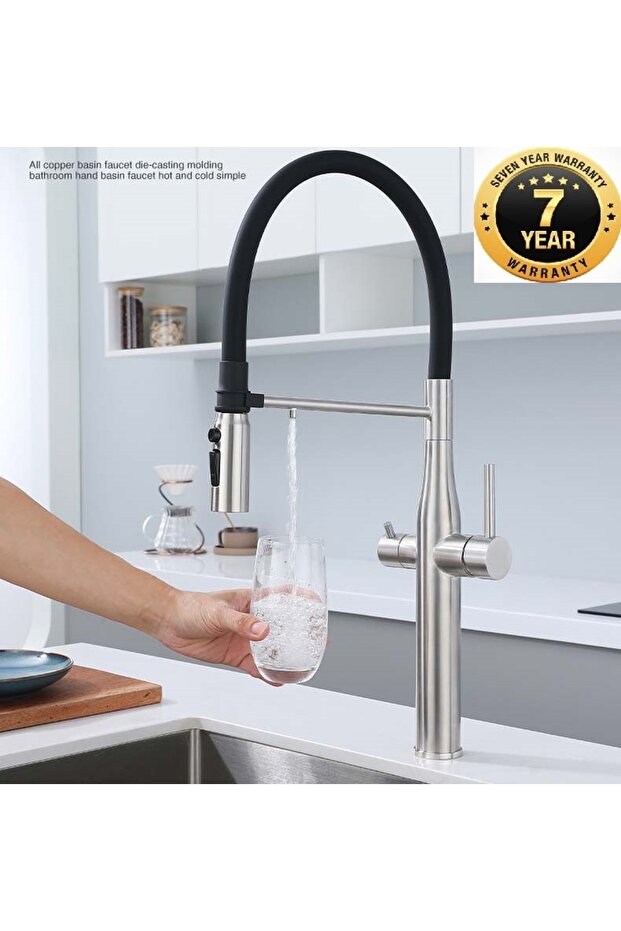 Kitchen Sink Faucet with Dual Flow Water Purification Outlet, Spiral and Spout, Nickel, 7 Year Warranty, Imported