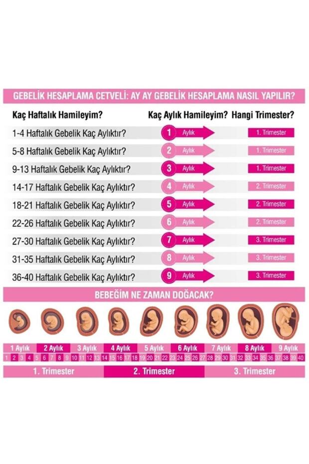 Folik Asit Tablet - 3