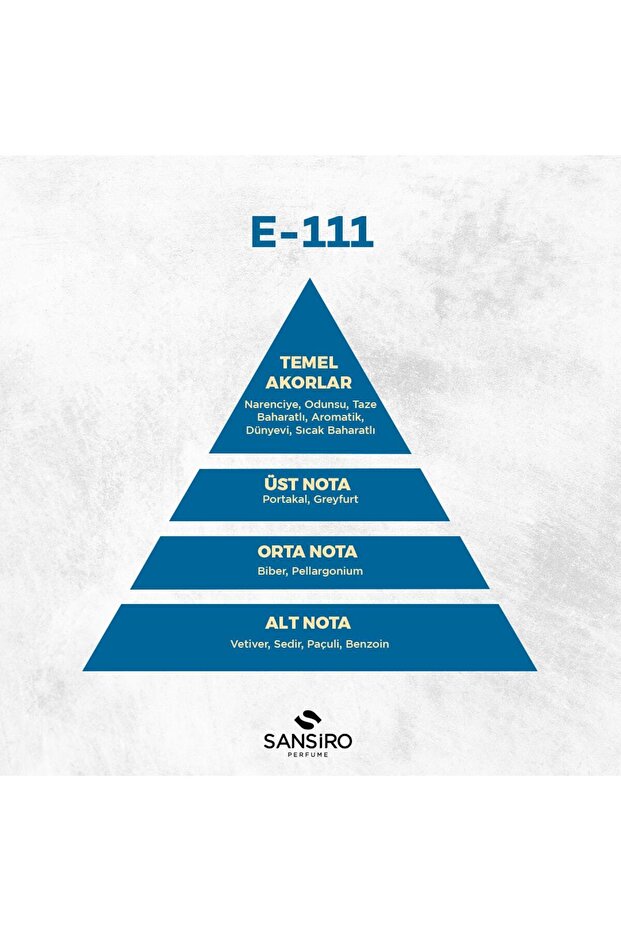 E-111 Erkek Parfüm 50ml Edp - 5