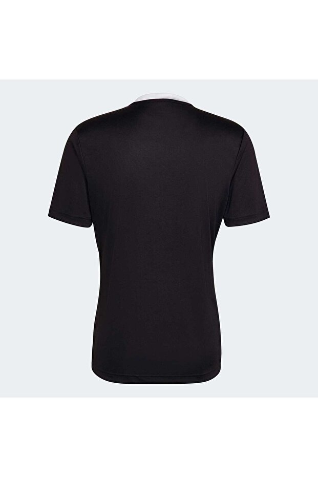 Entrada 22 Forma - 5