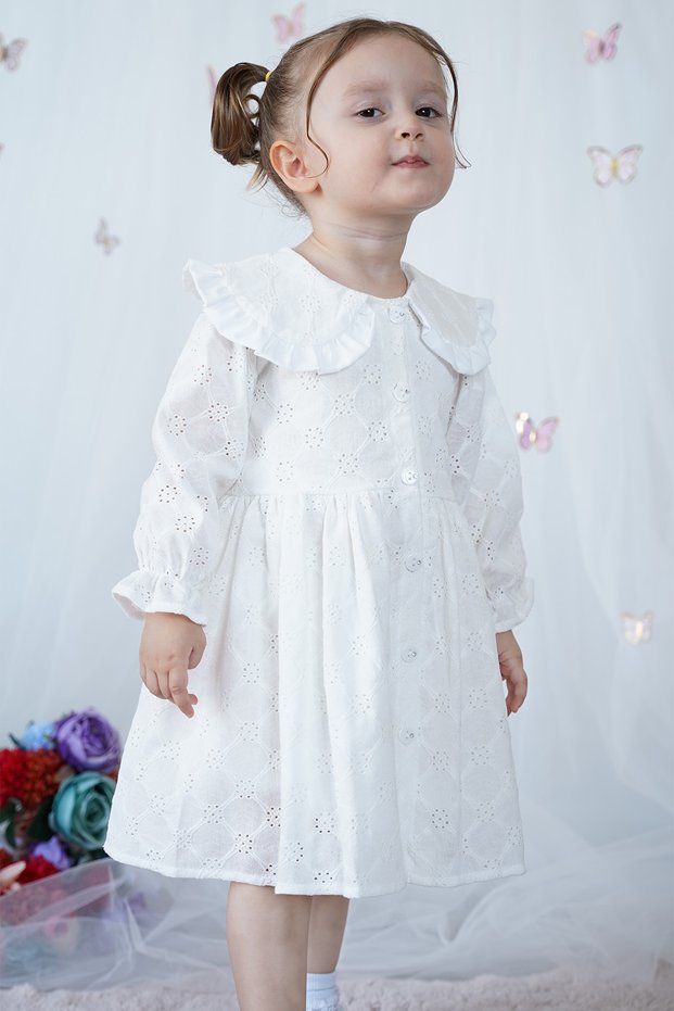 Girl's Dress Baby Collar Long Sleeve Buttoned Special Occasion Birthday Party Cotton Baby Girl Dress