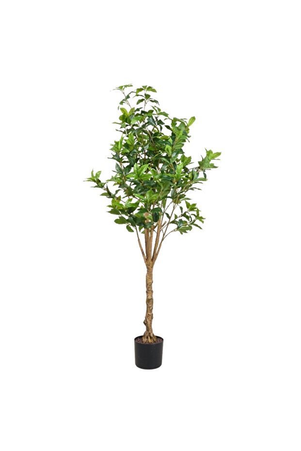 شجرة التين الخضراء - 150 سم - 2