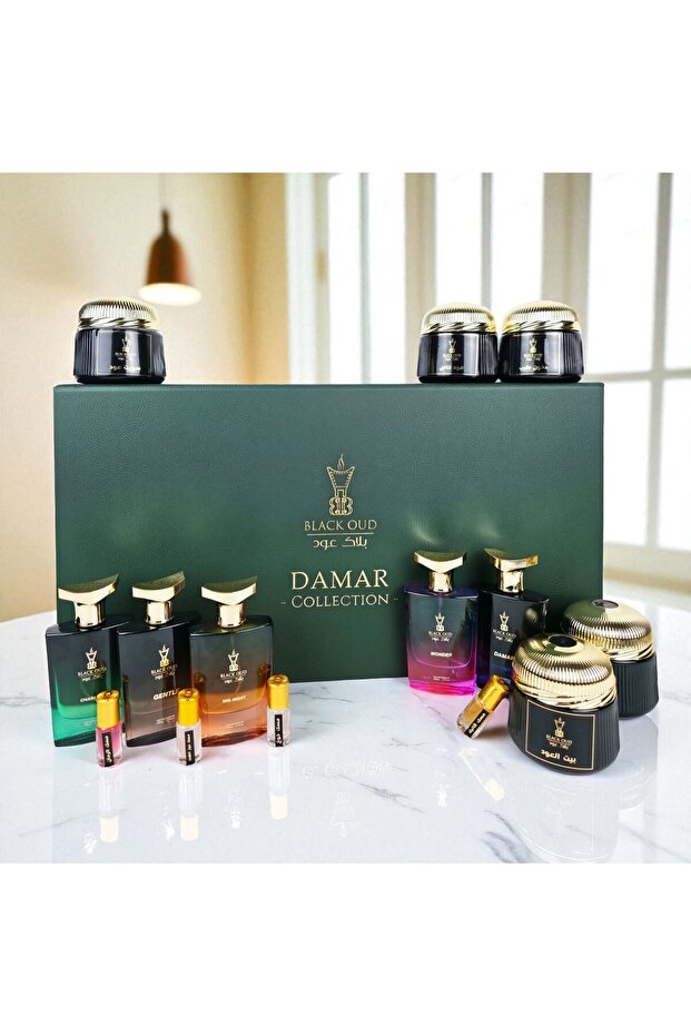 عرض مجموعة دامار - 1